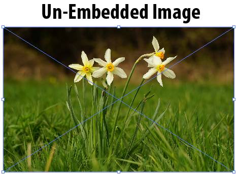 Un Embed Image