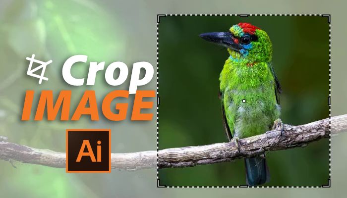 How to Crop Image in Illustrator