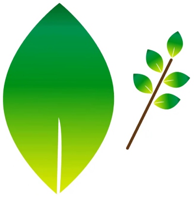 Leaf Logo